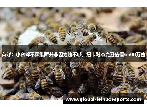 英媒：小蜜蜂不卖维萨并非因为钱不够，纽卡对杰克逊估值6500万镑